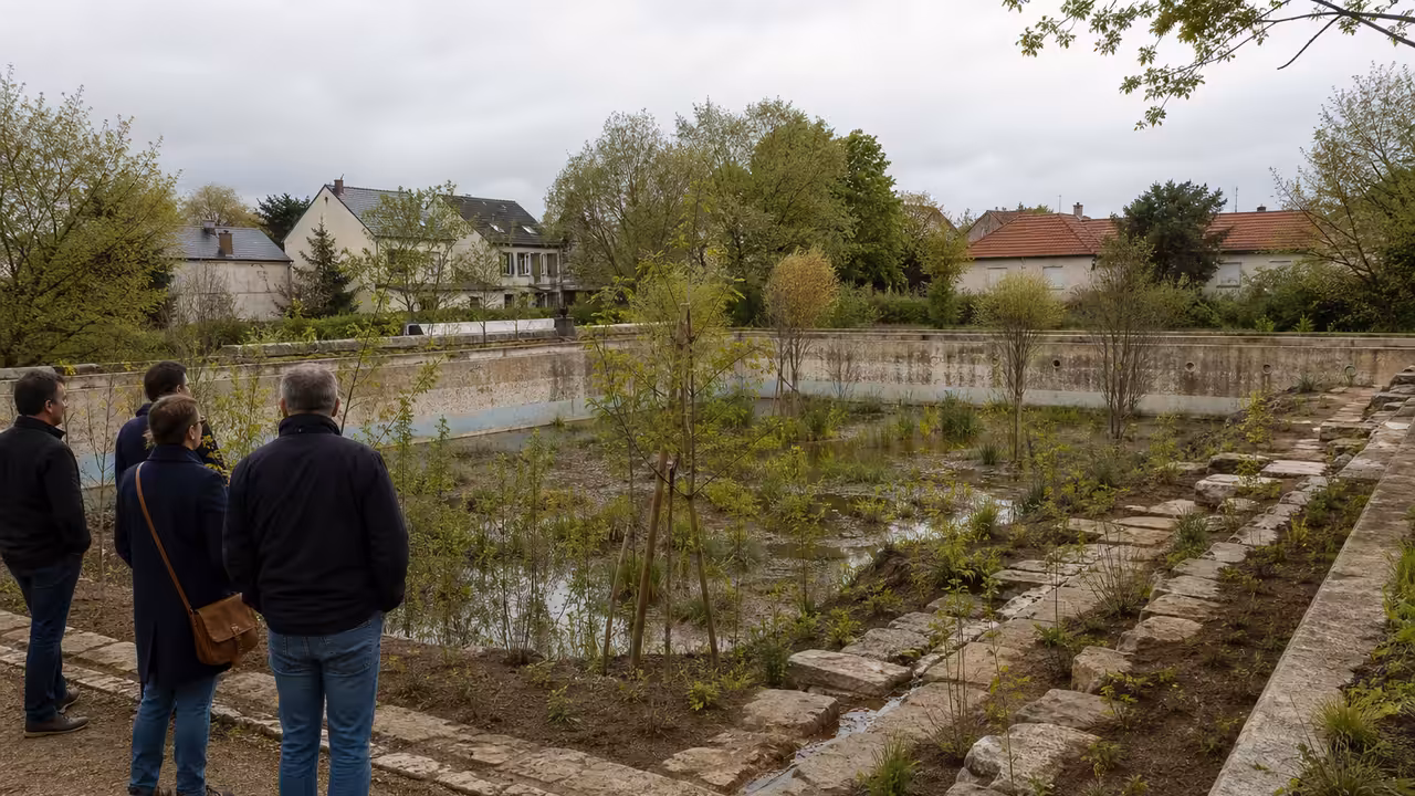 Ancien bassin municipal reconverti en mare végétalisée dans un parc urbain arboré et accessible