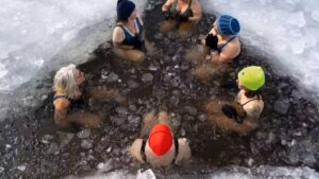 Piscine extérieure chauffée et couverte en hiver, avec terrasse sèche et végétation givrée en arrière-plan