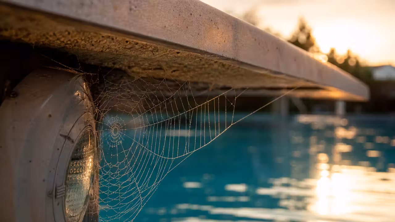 Toile d'araignée tissée près d'un projecteur de piscine en soirée avec l'eau turquoise en arrière-plan