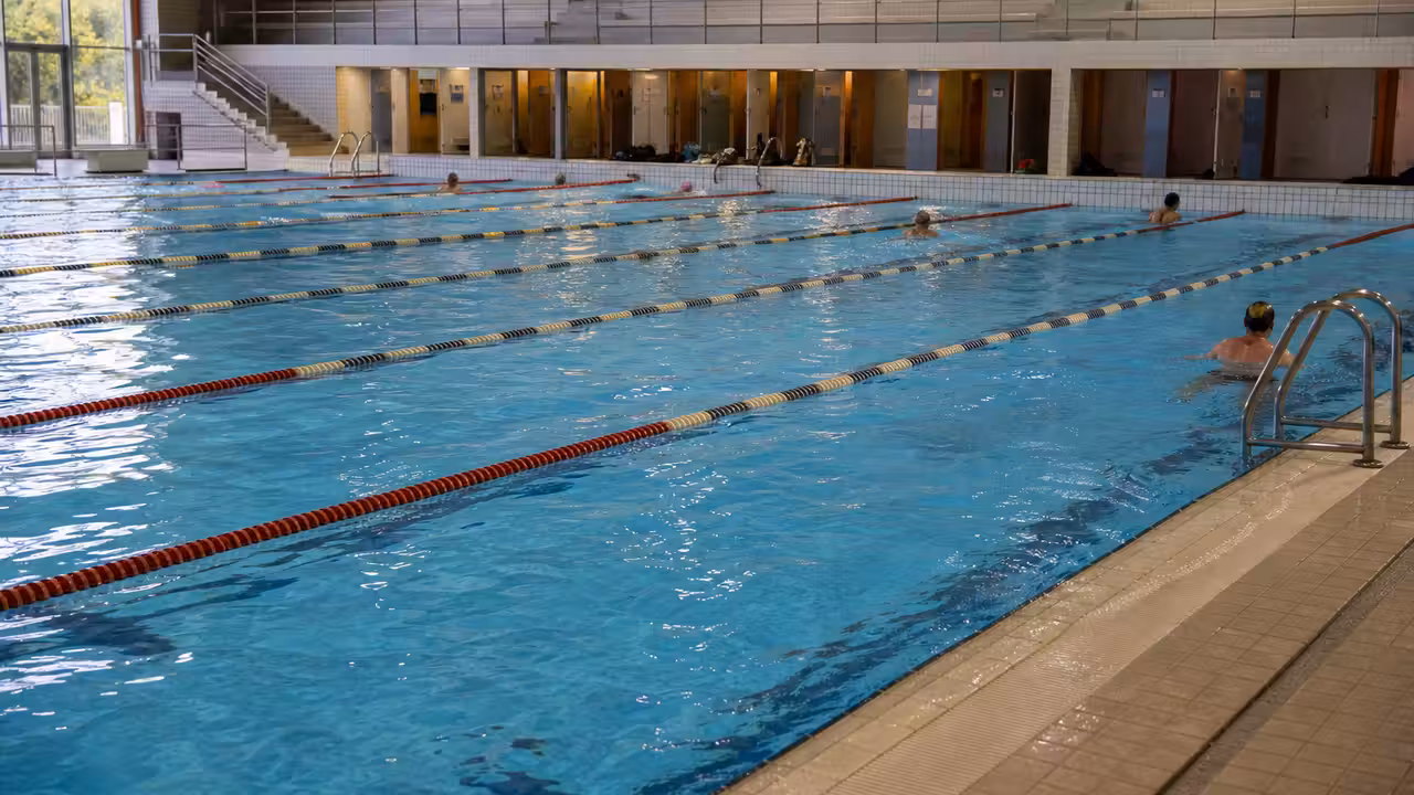 Bassin municipal baigné de lumière, avec lignes d’eau, gradins et nageurs vus de dos