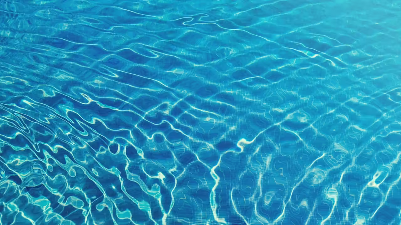 Bassin extérieur d’une piscine municipale entouré de pelouses arborées par une journée d’été