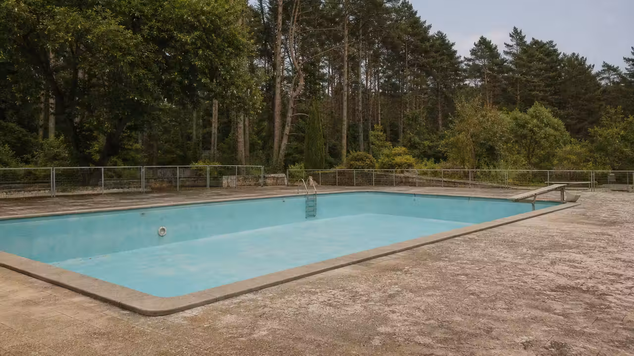 Bassin extérieur vide au cœur d’un espace boisé, avec plages minérales et arbres de la forêt