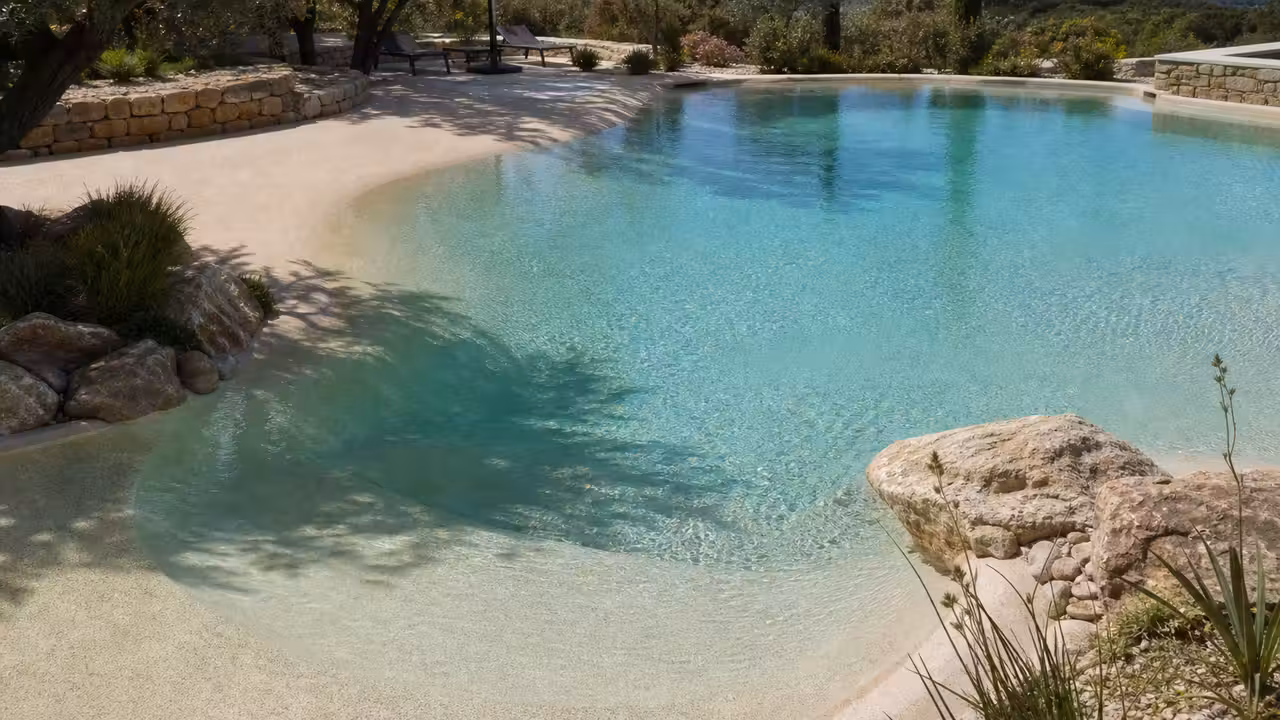 Piscine lagon aux courbes minérales, plage immergée et végétation intégrée dans un jardin contemporain