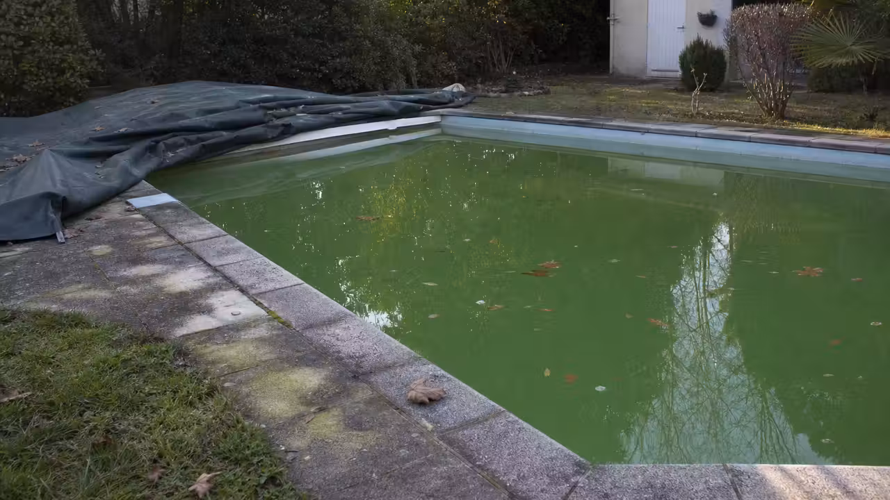 Piscine privée découverte après un long hivernage, eau verte, couverture repliée et local technique à inspecter