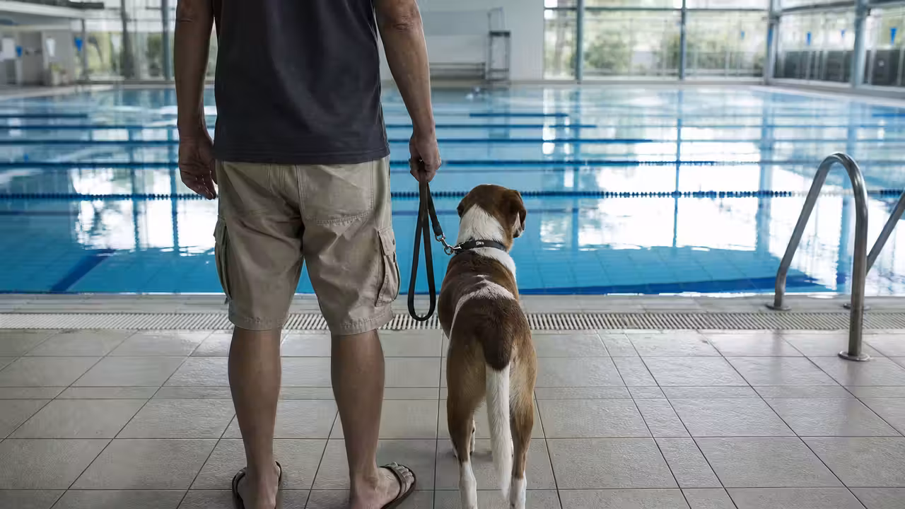 Chien tenu en laisse au bord d’un bassin municipal vide, avec lignes d’eau et sol carrelé