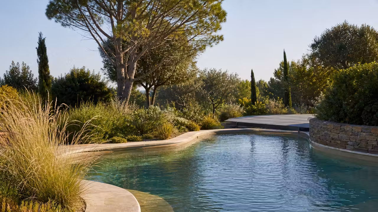 Piscine contemporaine aux lignes douces, bordée de pierre claire et de plantations méditerranéennes