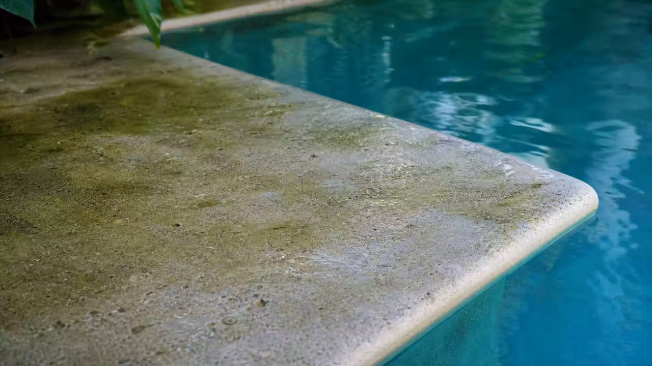 Margelle de piscine en pierre claire légèrement humide et verdâtre dans une zone ombragée près du bassin
