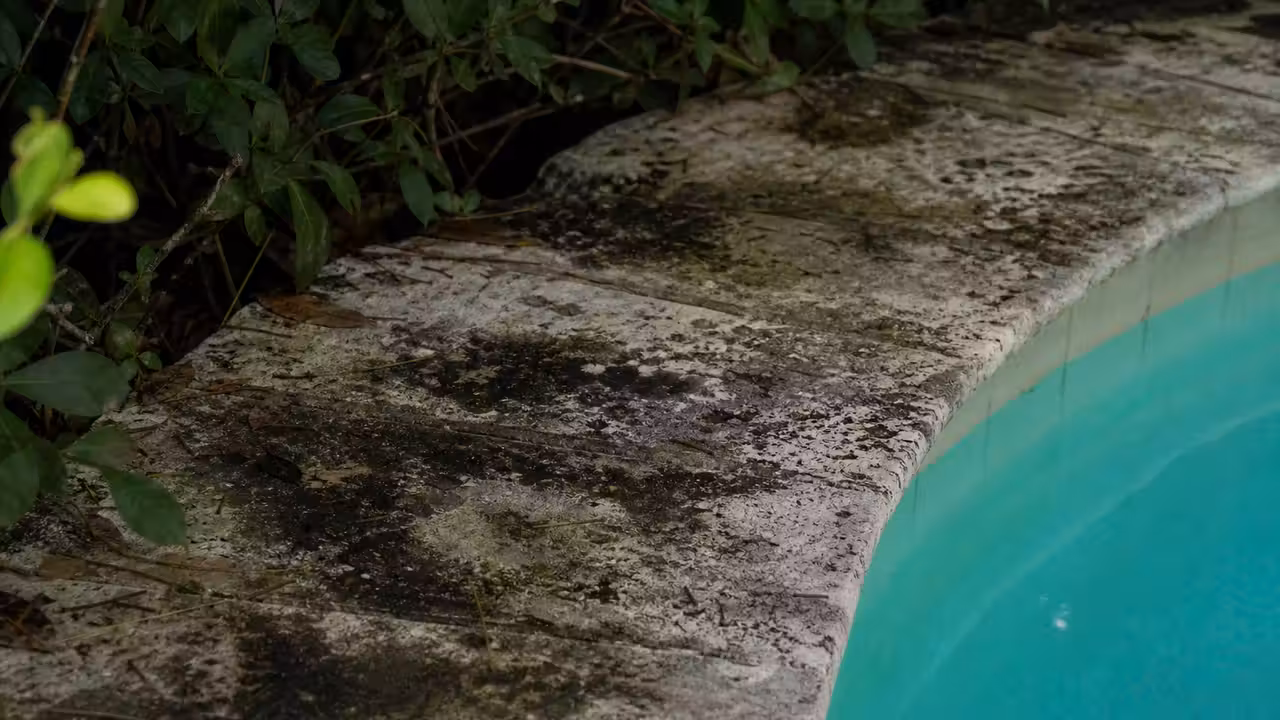 Margelle de piscine en pierre naturelle avec des traces noires de mousse dans une zone ombragée
