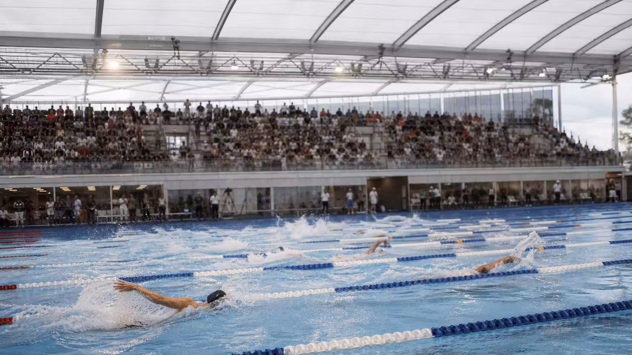 Nageurs de compétition en pleine course dans un bassin de 50 mètres sous les tribunes d'une grande arena