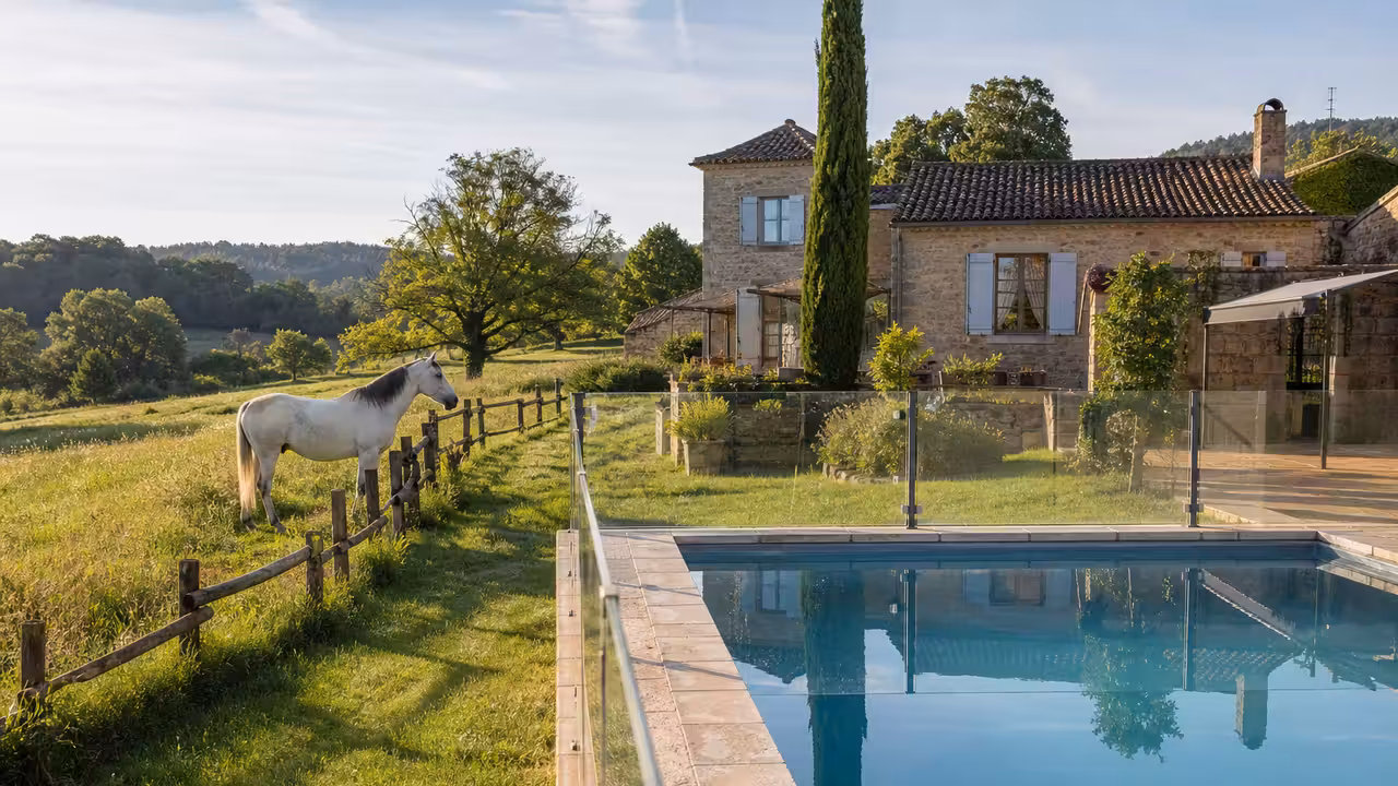 Cheval vu de profil près d’une barrière fermée protégeant une piscine privée en bordure de pré