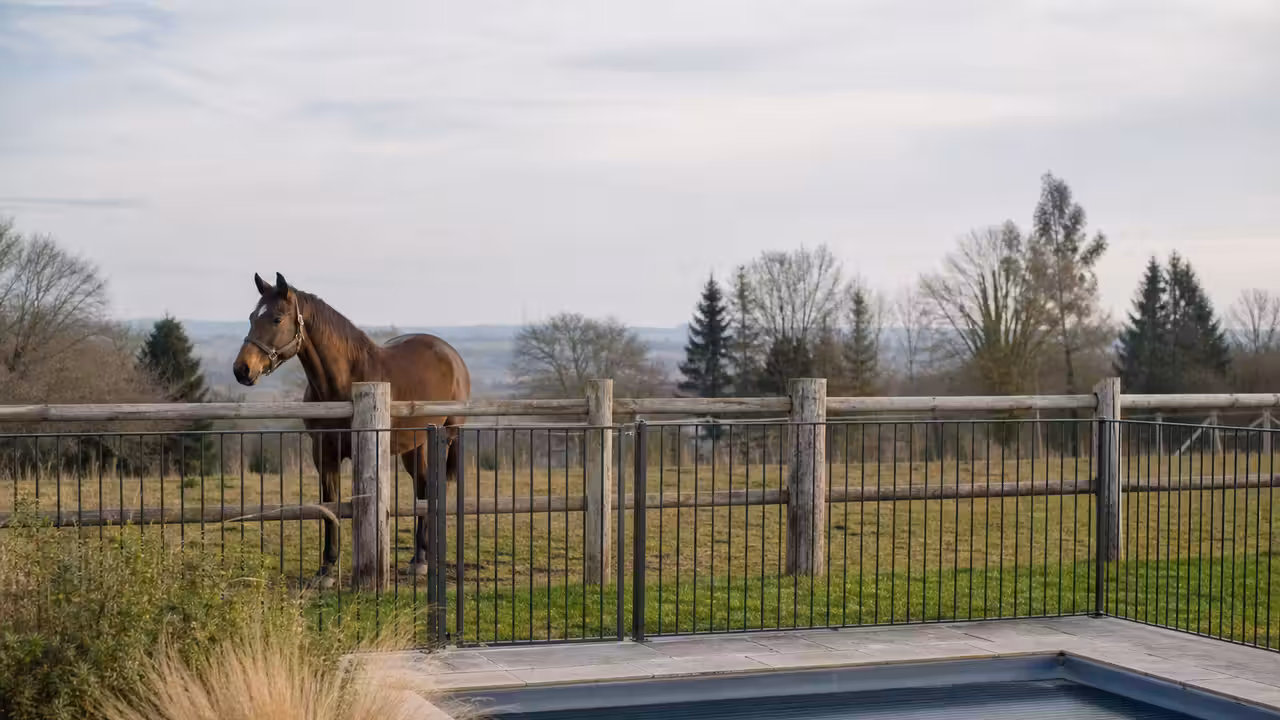 Cheval dans un pré clos près d’une piscine protégée par une barrière et un portail fermés